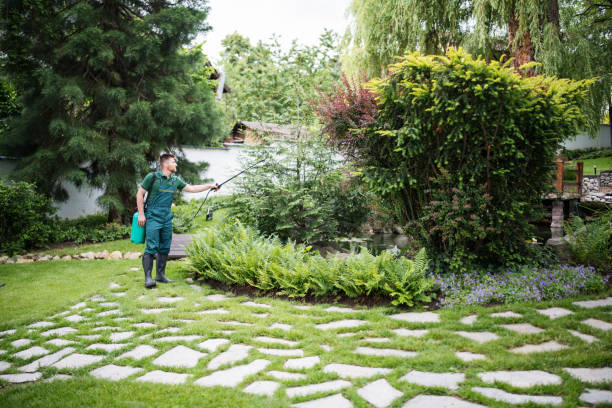 Best Pest Removal Services  in Lebanon, TN