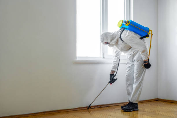 Best Best Pest Control Companies  in Lebanon, TN