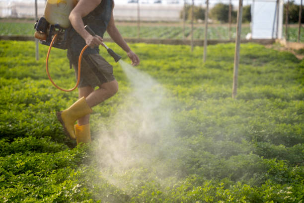 Best Wasp Removal Services  in Lebanon, TN