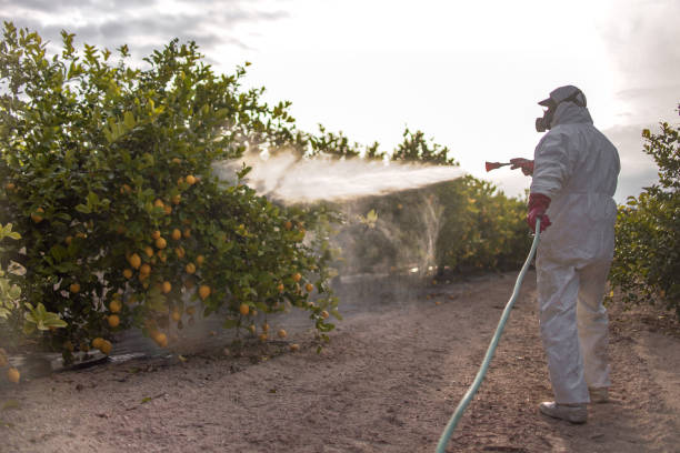 Best Wildlife Control Services  in Lebanon, TN