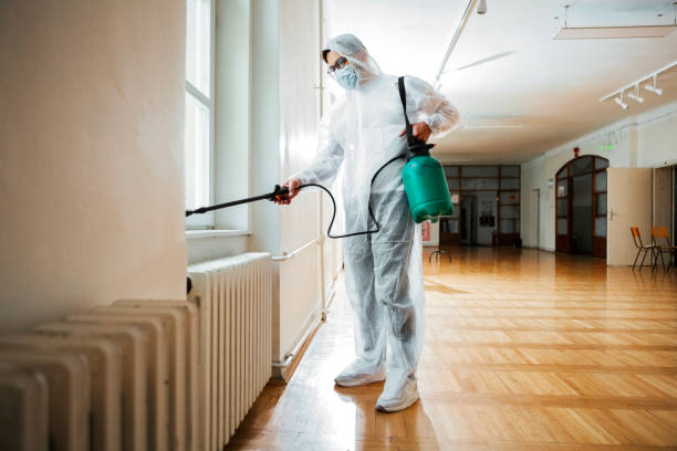 Best Flea Control Services  in Lebanon, TN