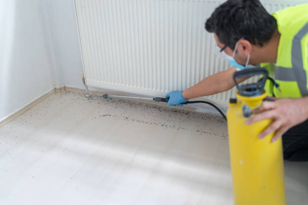 Best Affordable Pest Control Services  in Lebanon, TN